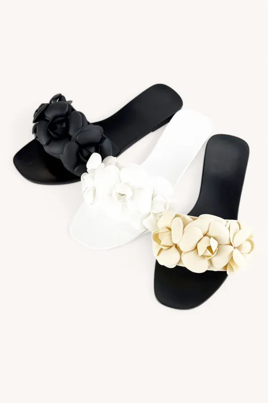 JENNI-33 made by CCOCCI