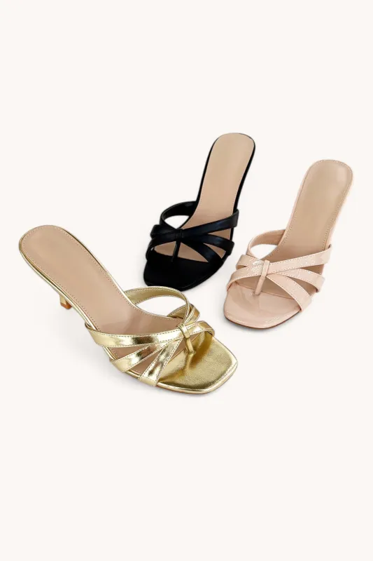 IDEA-61 sold by CCOCCI