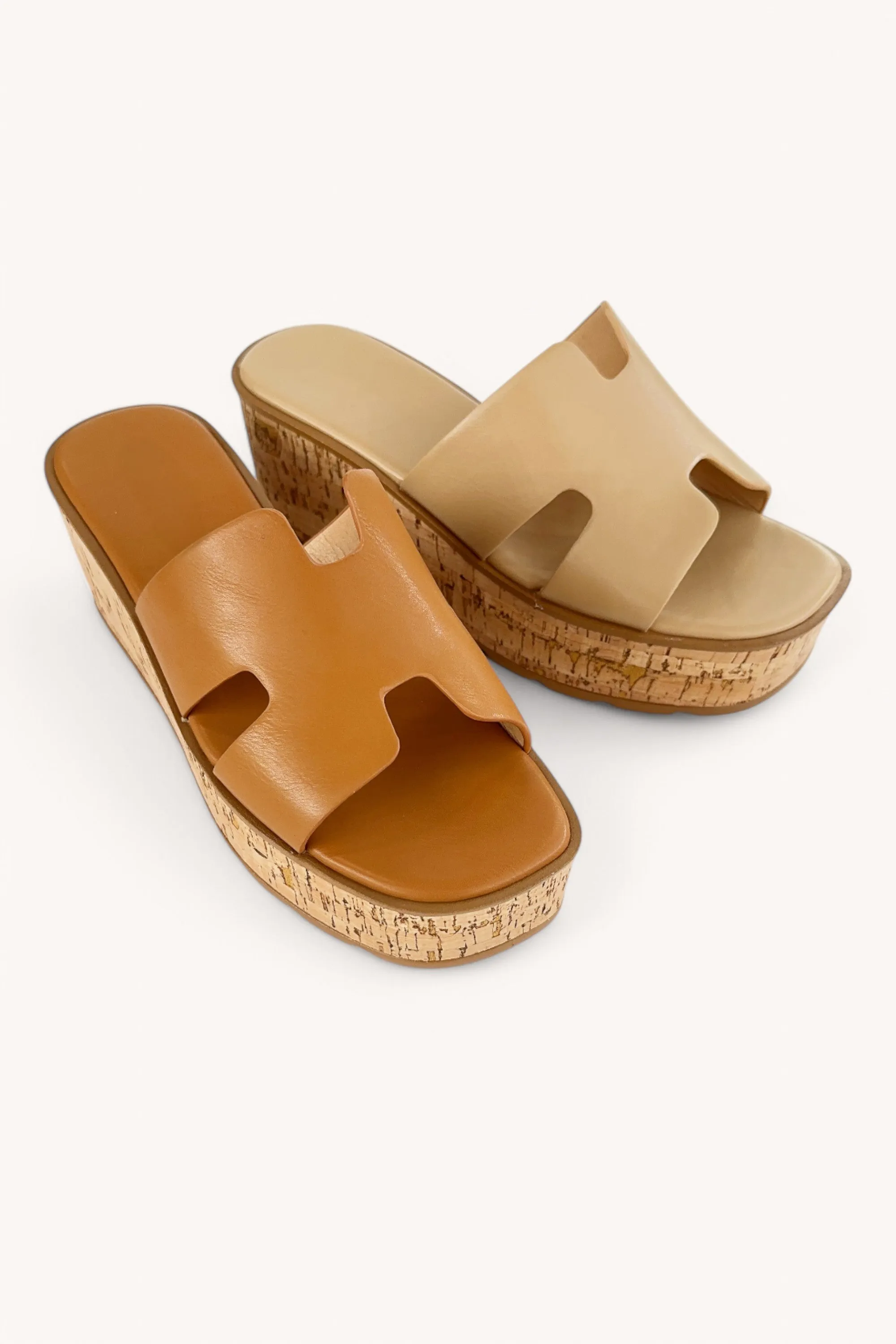 EARNEST-23 sold by CCOCCI product image thumbnail 2