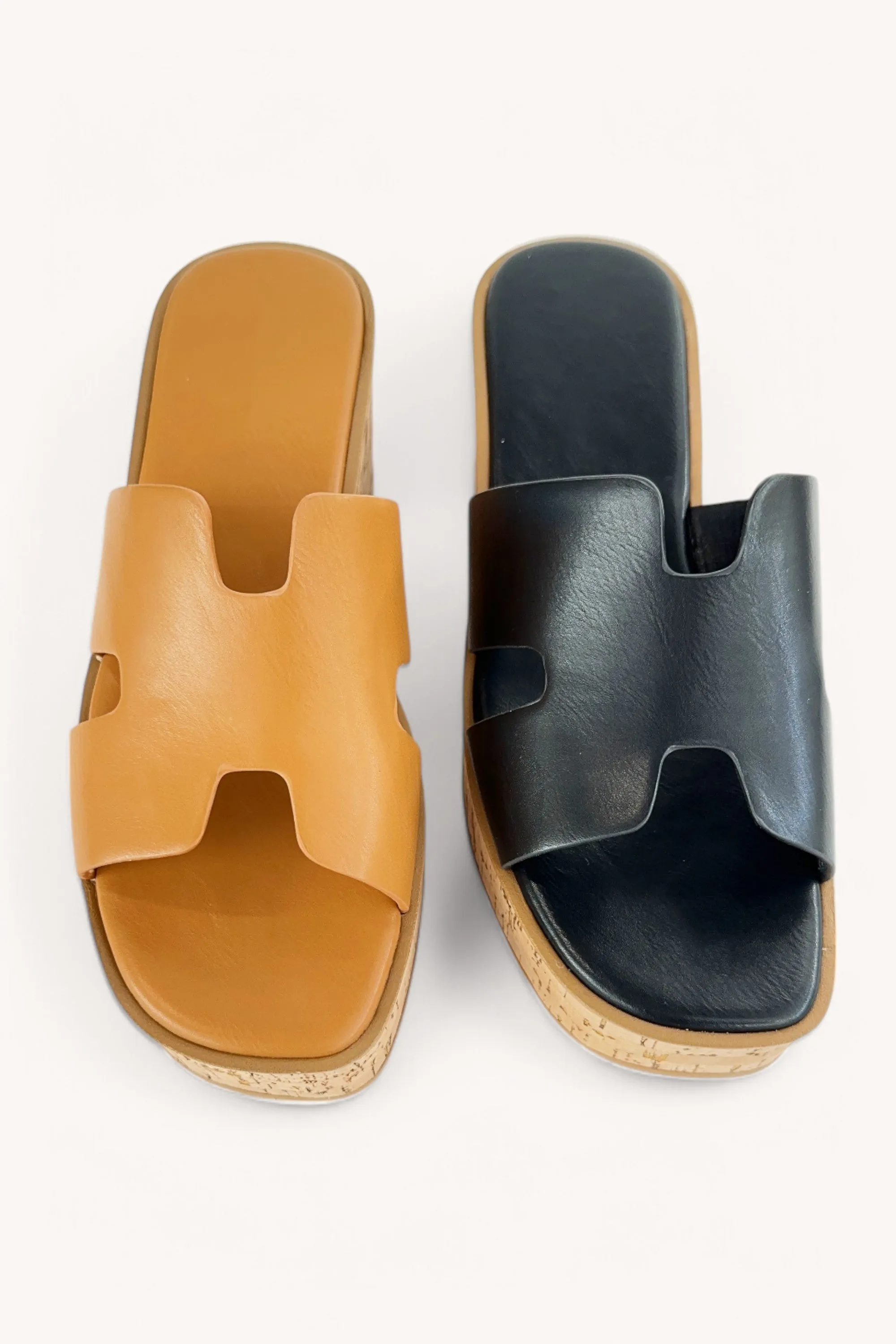 EARNEST-23 sold by CCOCCI product image thumbnail 5