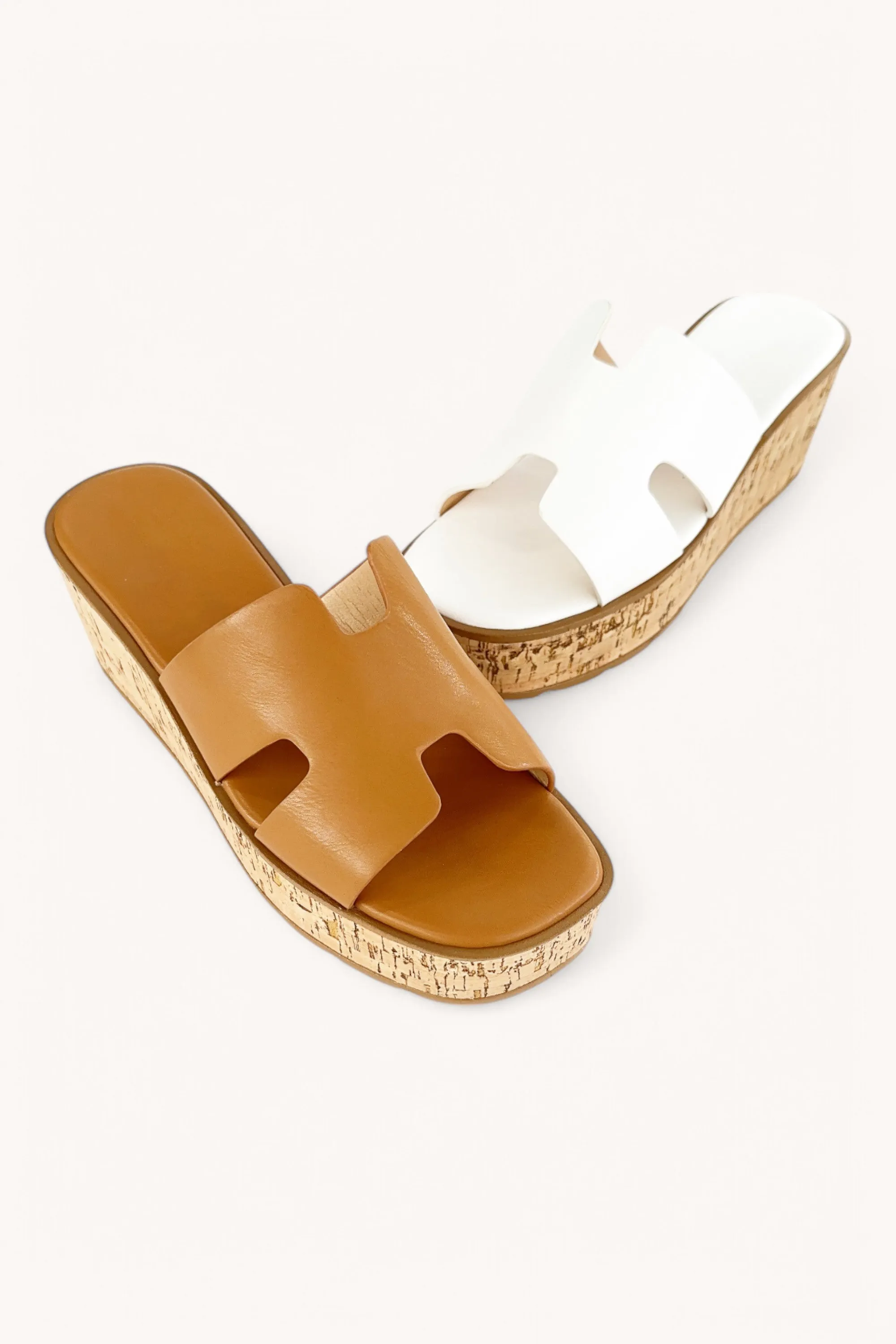 EARNEST-23 sold by CCOCCI