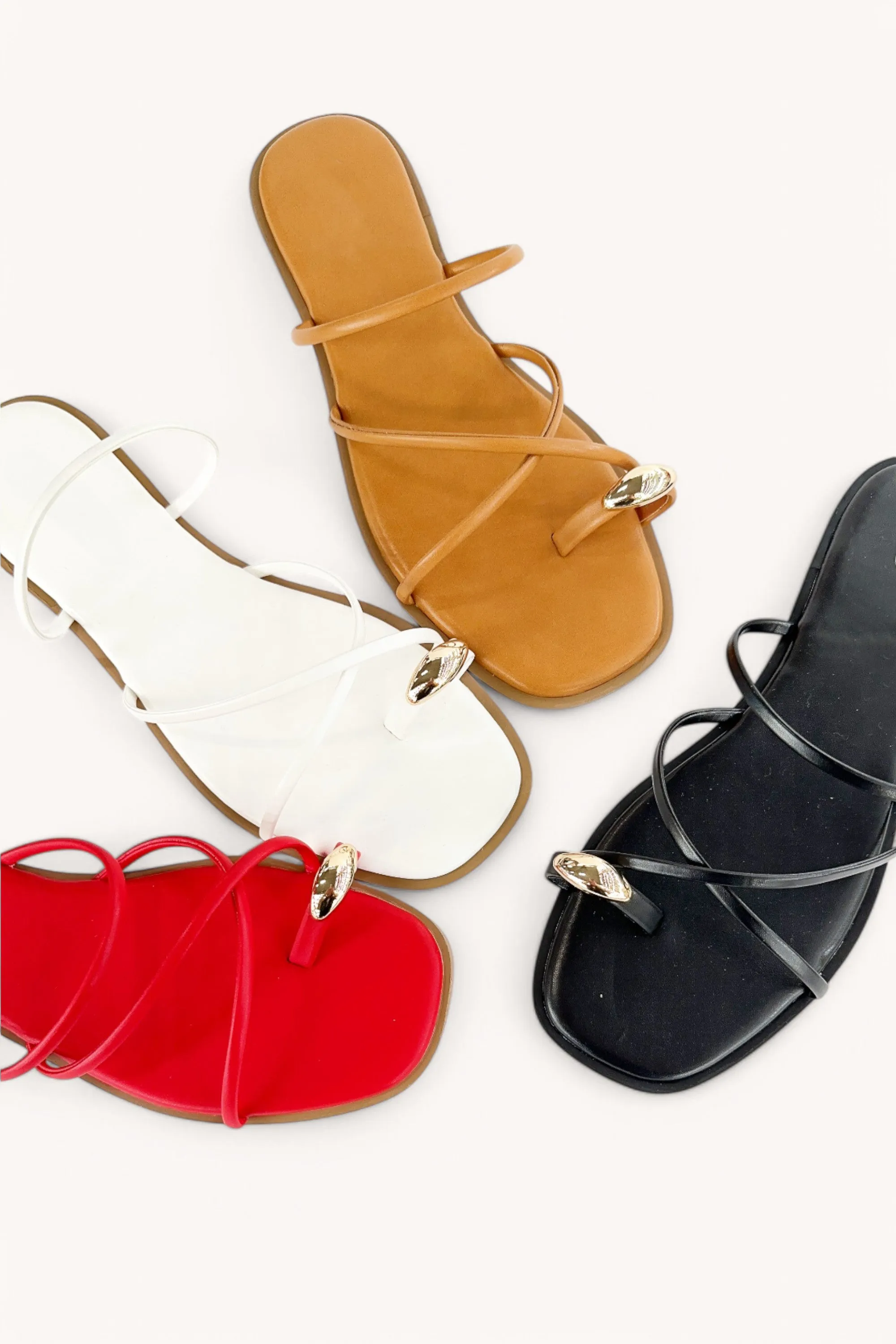 DEAL-33 sold by CCOCCI