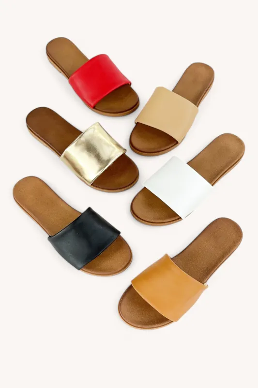 CRUCIAL-03 sold by CCOCCI