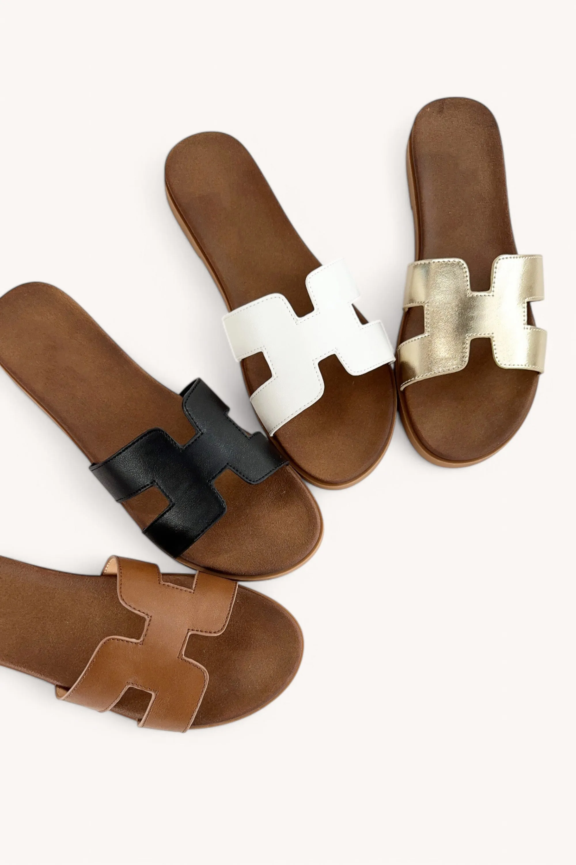 CRUCIAL-01 sold by CCOCCI