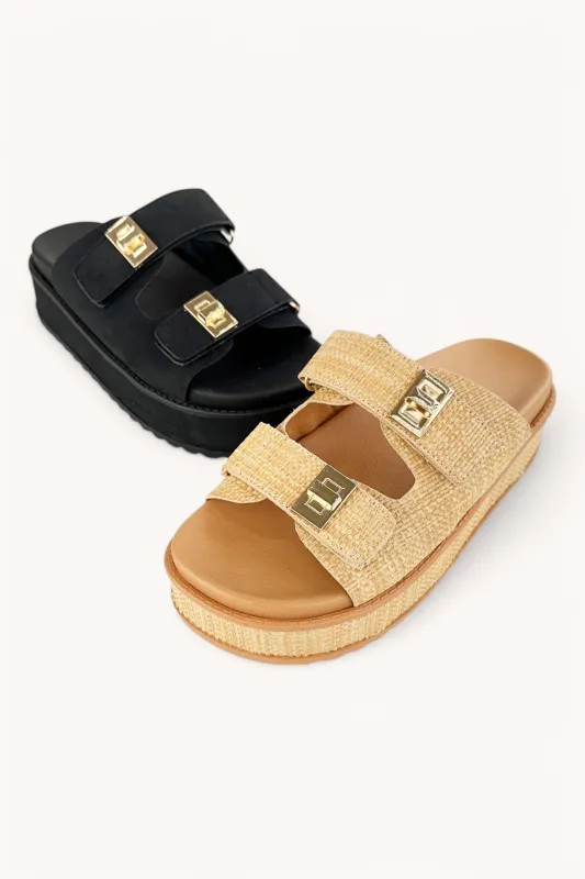 BRAINY-08 sold by CCOCCI