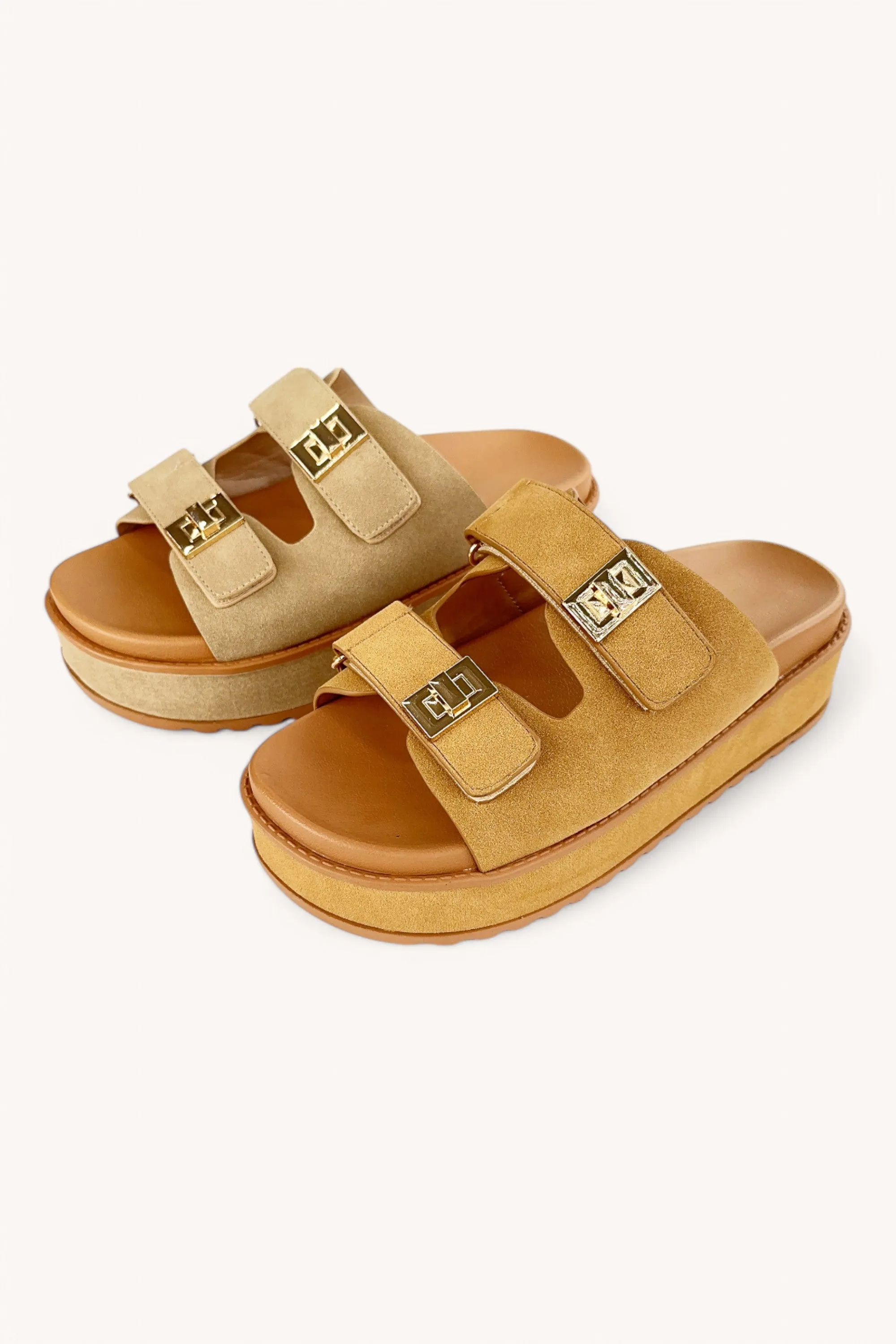 BRAINY-08 sold by CCOCCI product image thumbnail 3