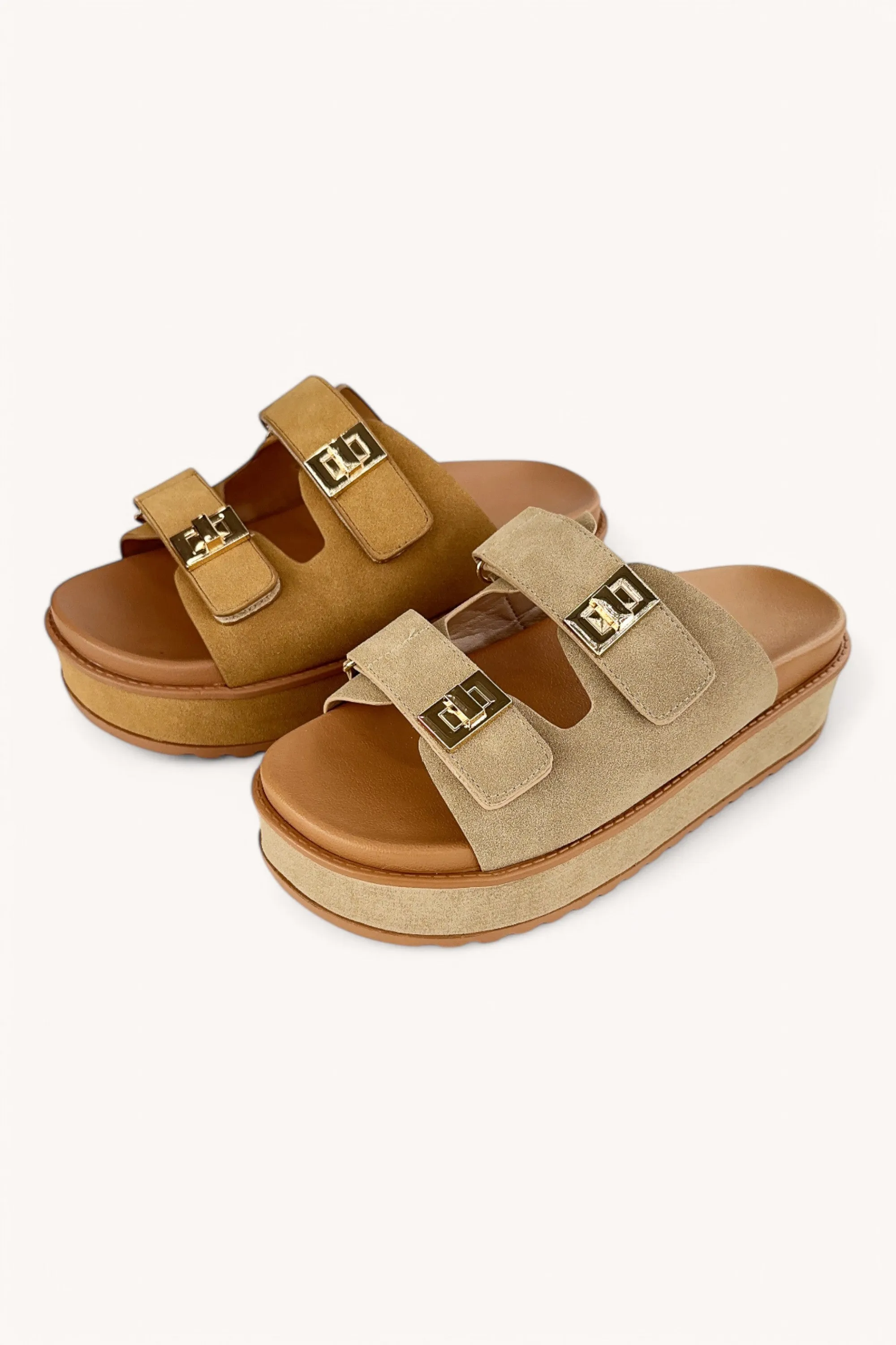 BRAINY-08 sold by CCOCCI product image thumbnail 5