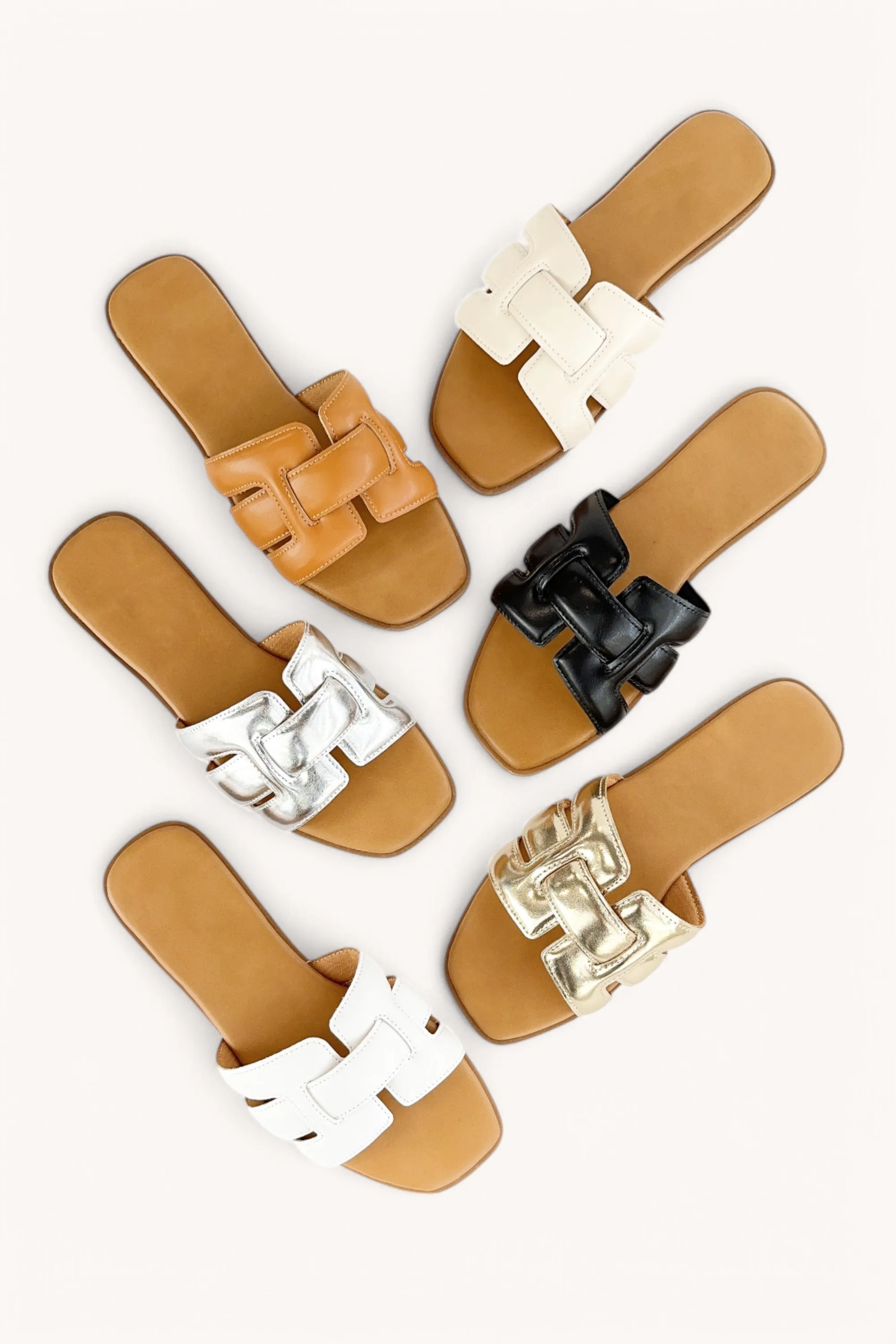 AMOUNT-15 sold by CCOCCI product image thumbnail 5