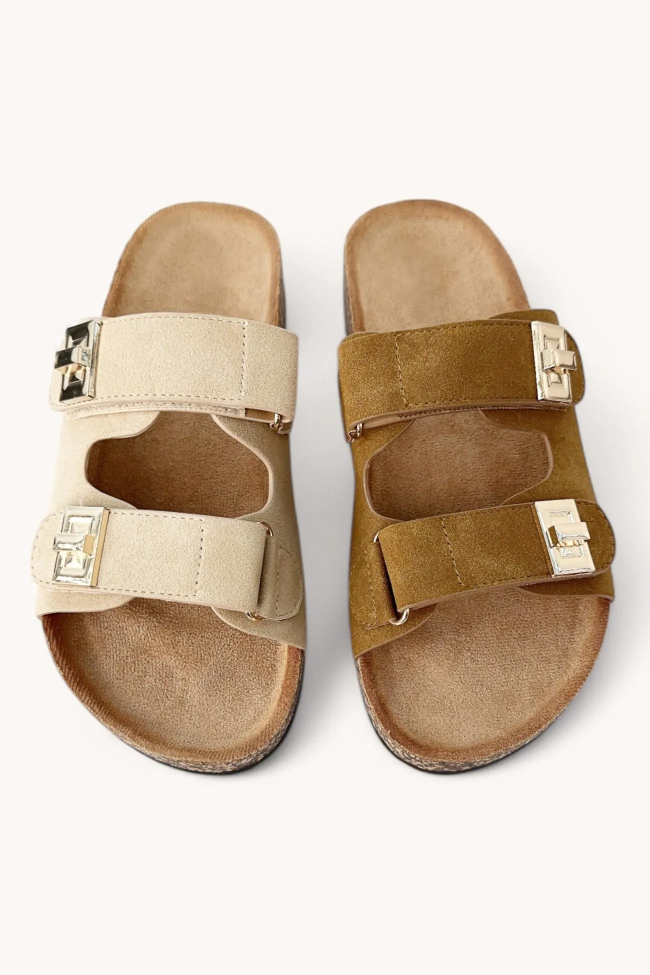 BACON-38_1 sold by CCOCCI