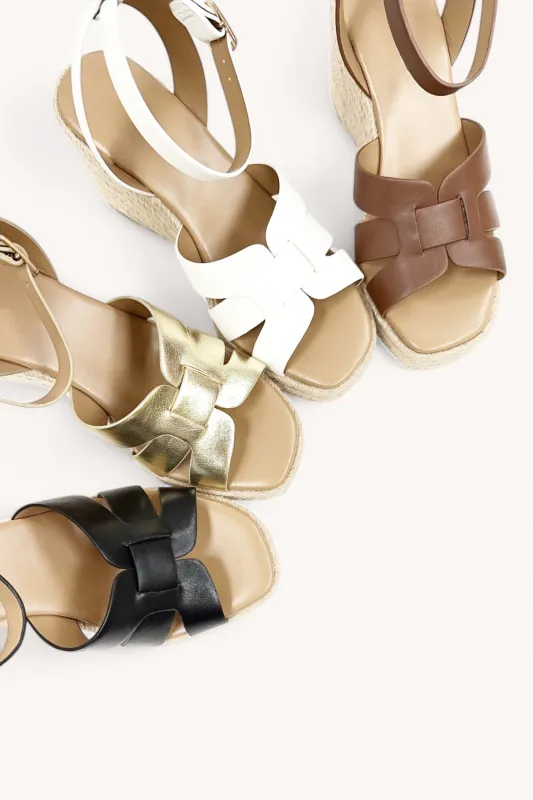 BEHOLD-AS sold by CCOCCI