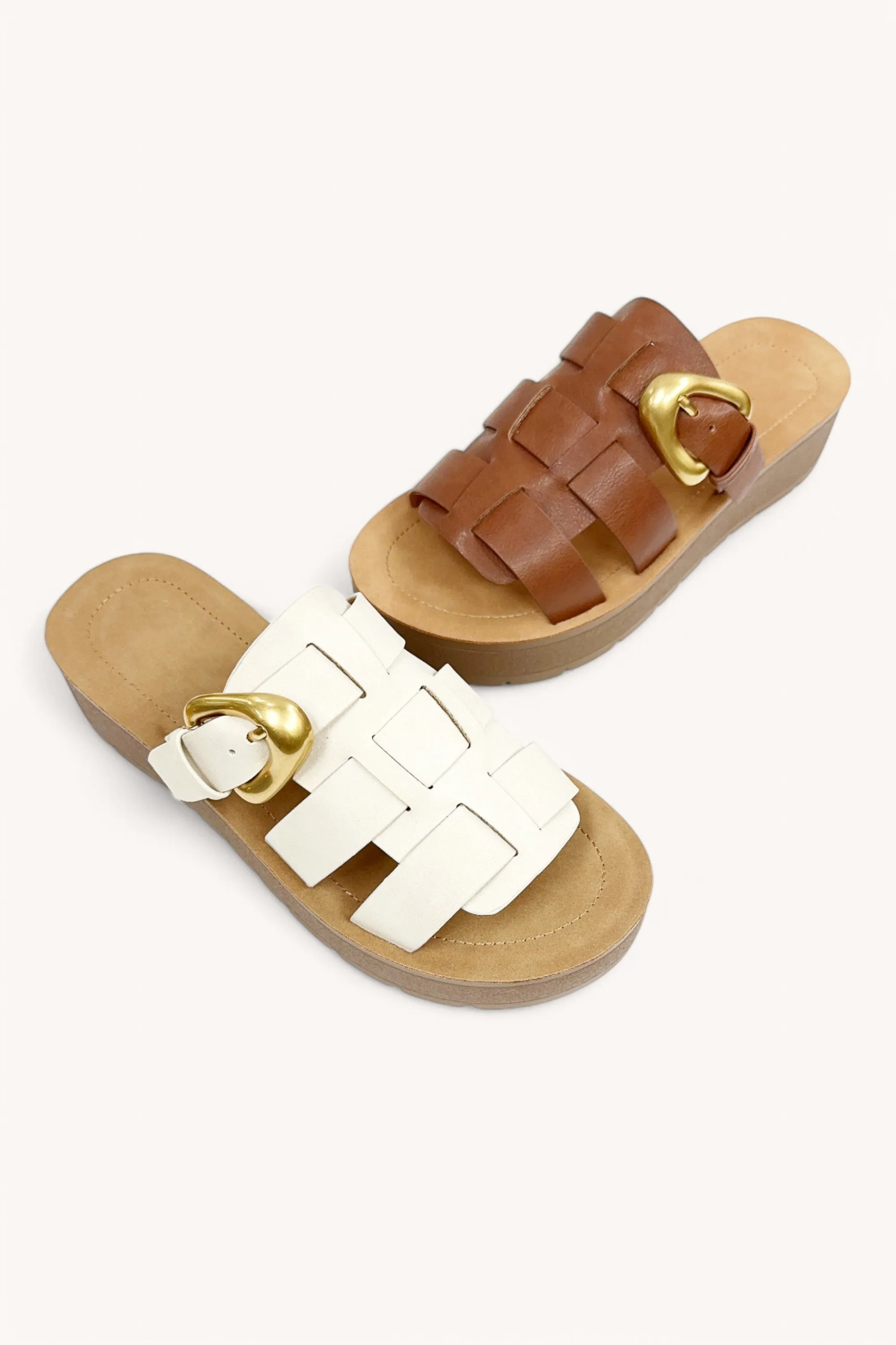 CEDRIC sold by CCOCCI product image thumbnail 3