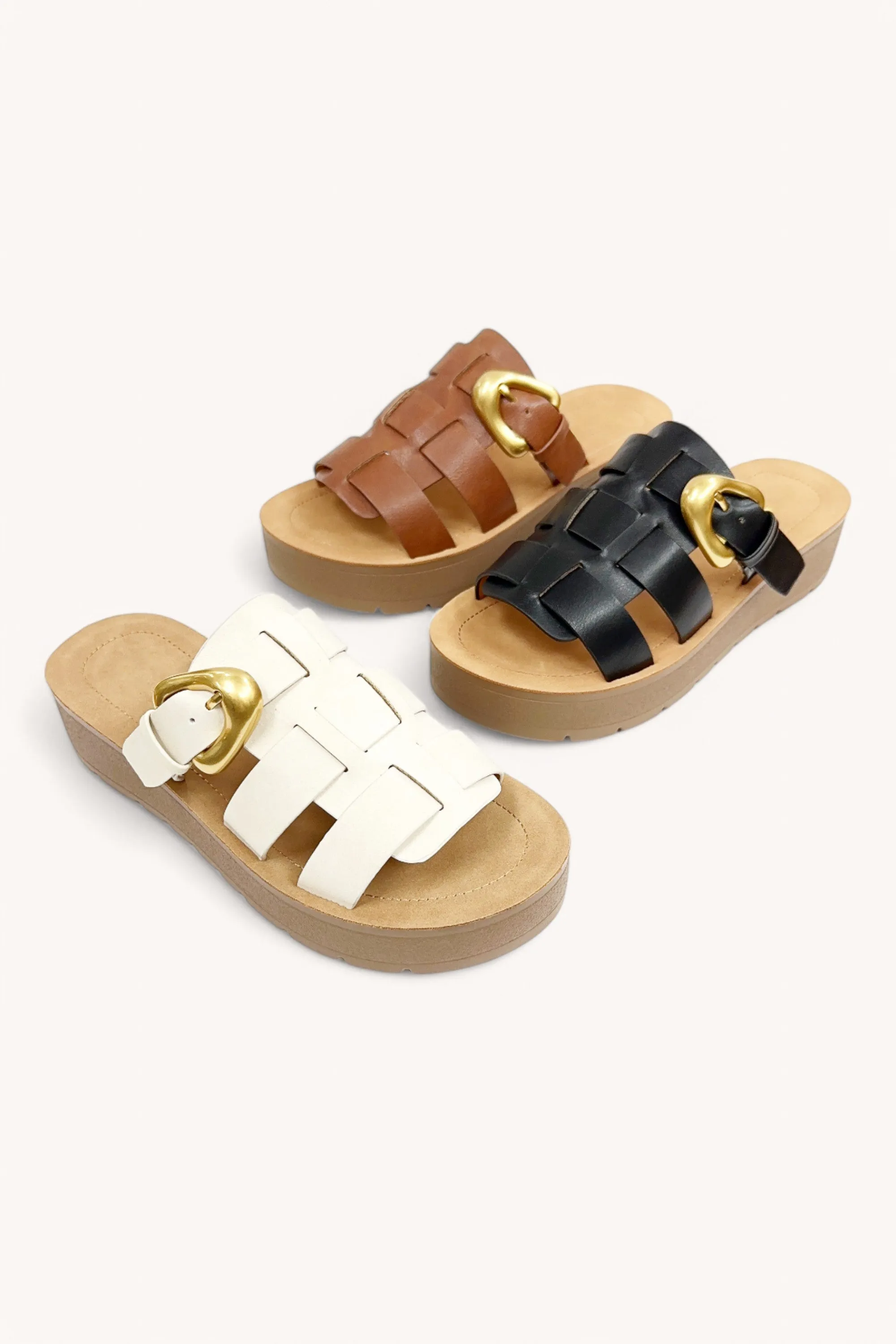 CEDRIC sold by CCOCCI