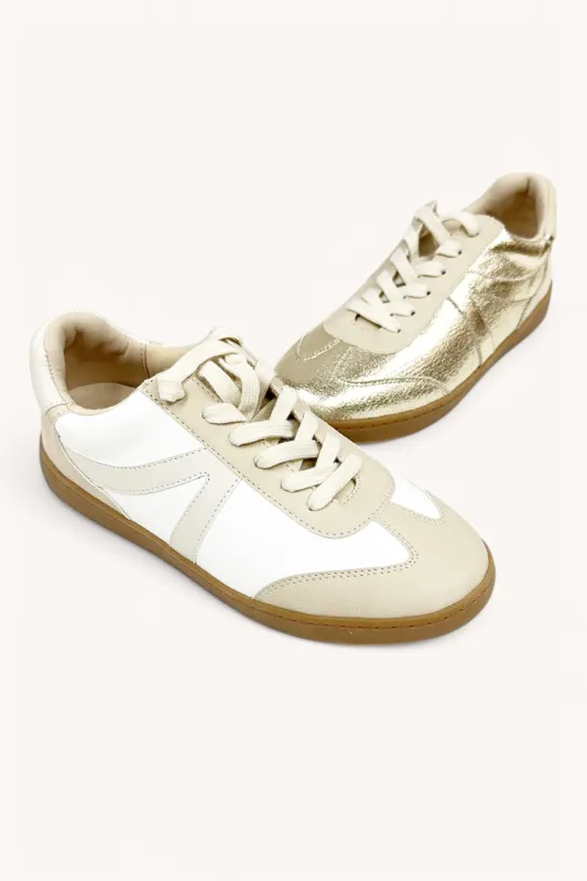 GALTON sold by CCOCCI