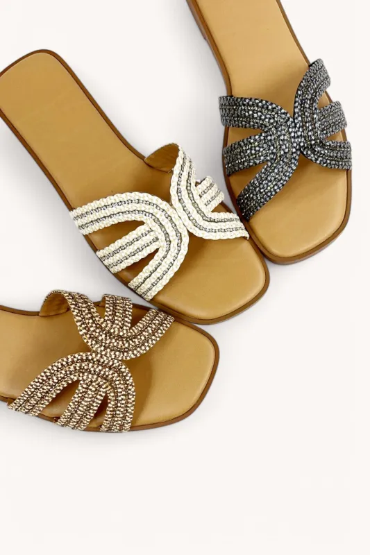 MANUAL sold by CCOCCI