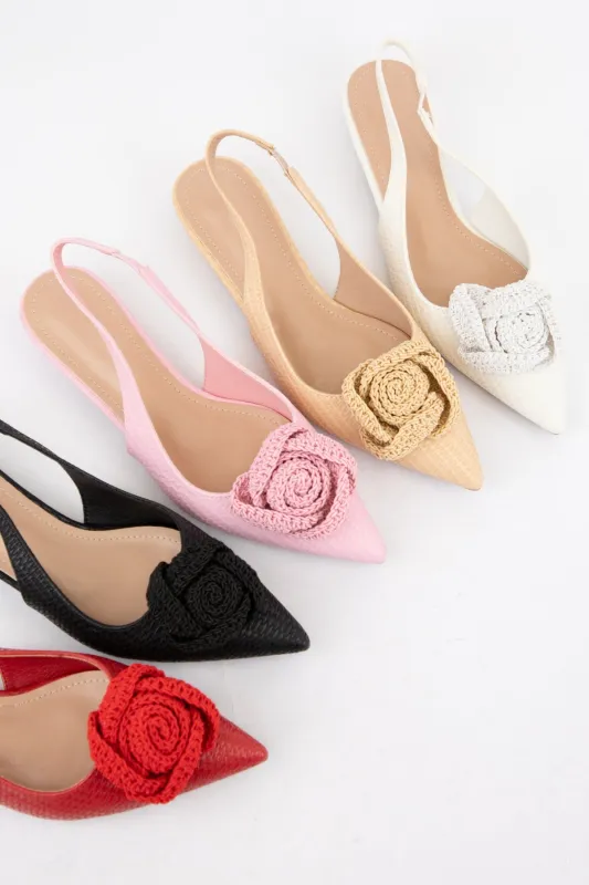 COMPETE-01 sold by CCOCCI