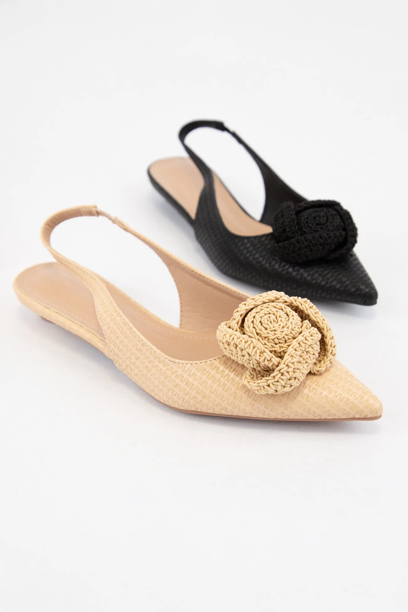 COMPETE-01 sold by CCOCCI product image thumbnail 2