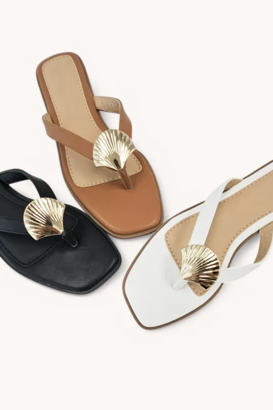 DOHA-9 sold by CCOCCI