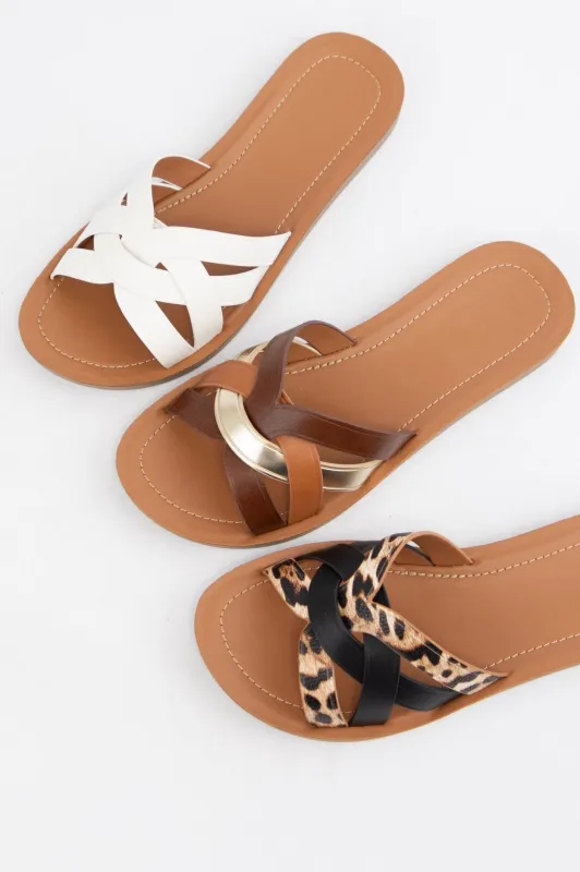 METEOR sold by CCOCCI