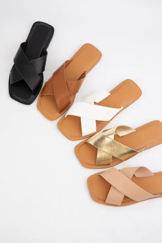 BETTA-1 sold by CCOCCI