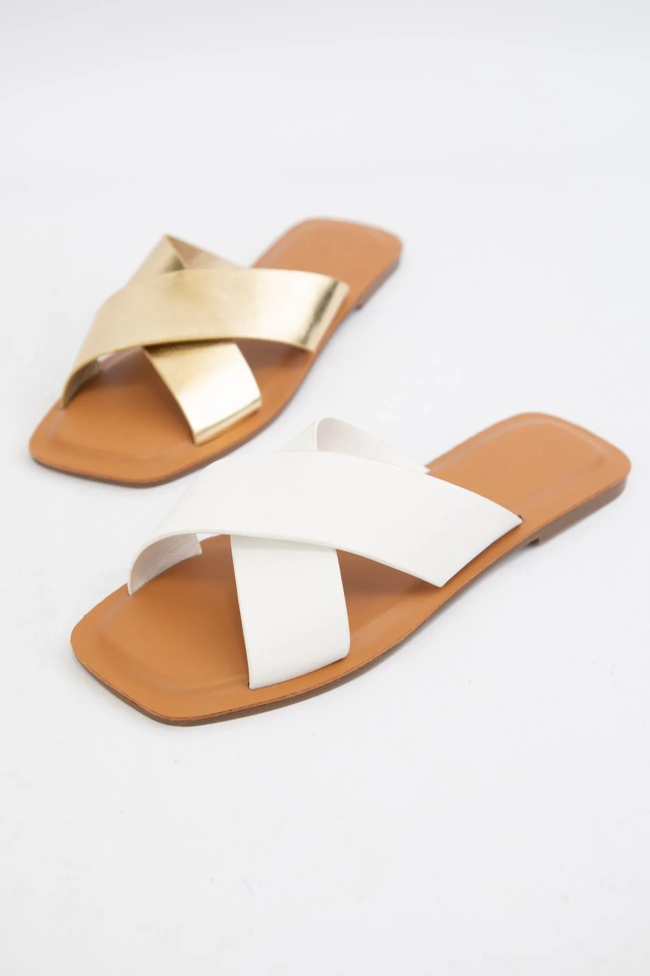 BETTA-1 sold by CCOCCI product image thumbnail 4