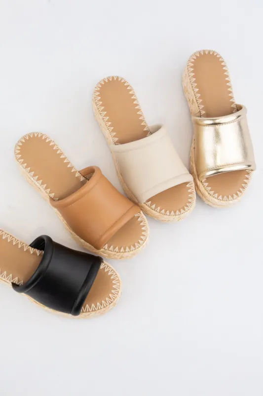 MONTE sold by CCOCCI