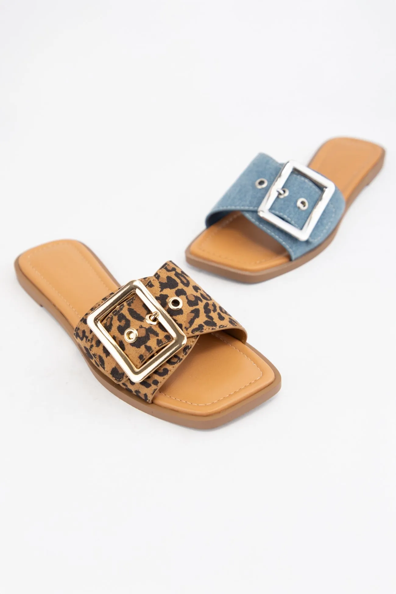 OPERA_1 sold by CCOCCI product image thumbnail 5