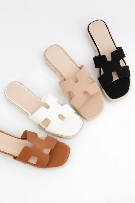 PRIYA-1 sold by CCOCCI