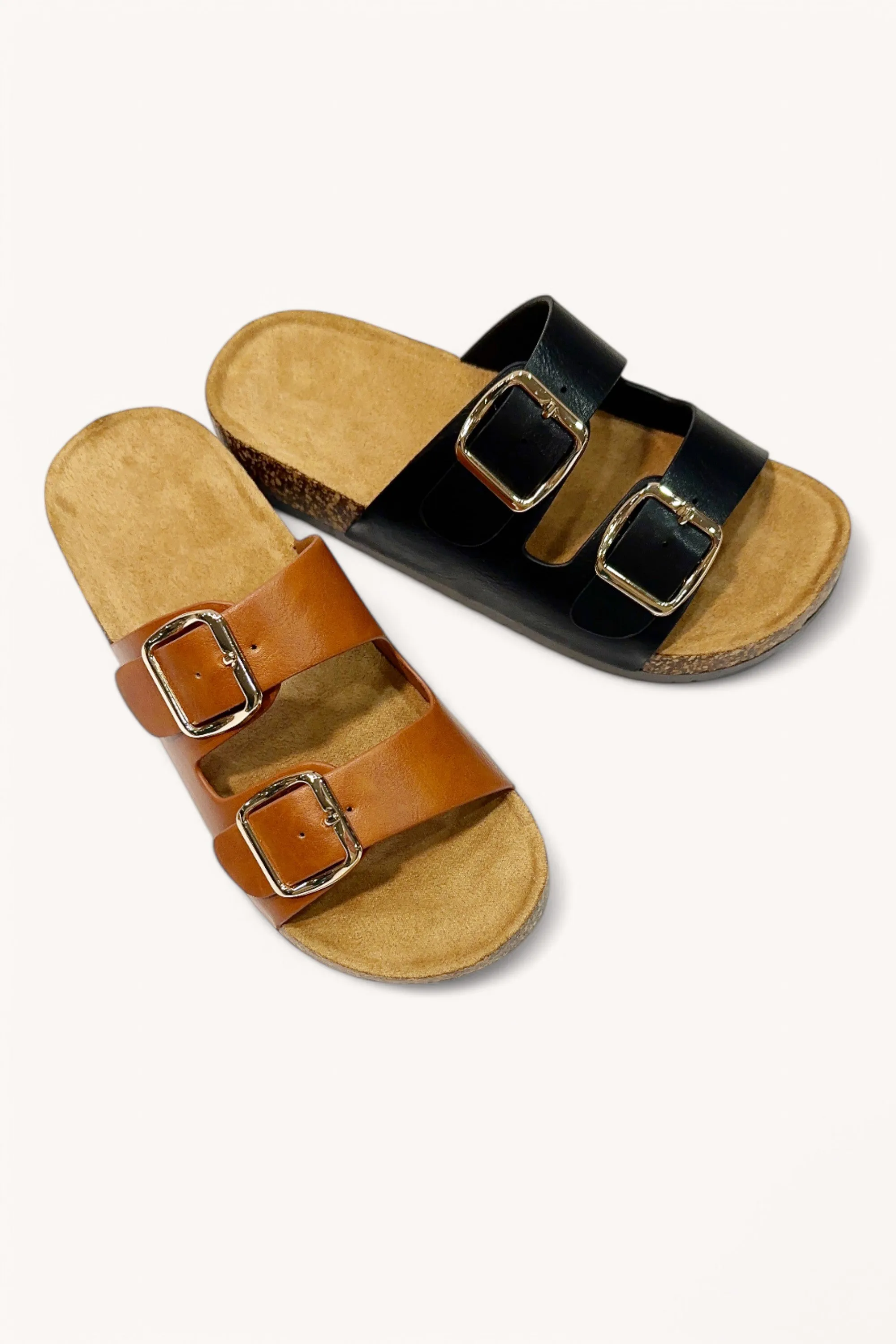 CHAMPION-81 sold by CCOCCI product image thumbnail 3