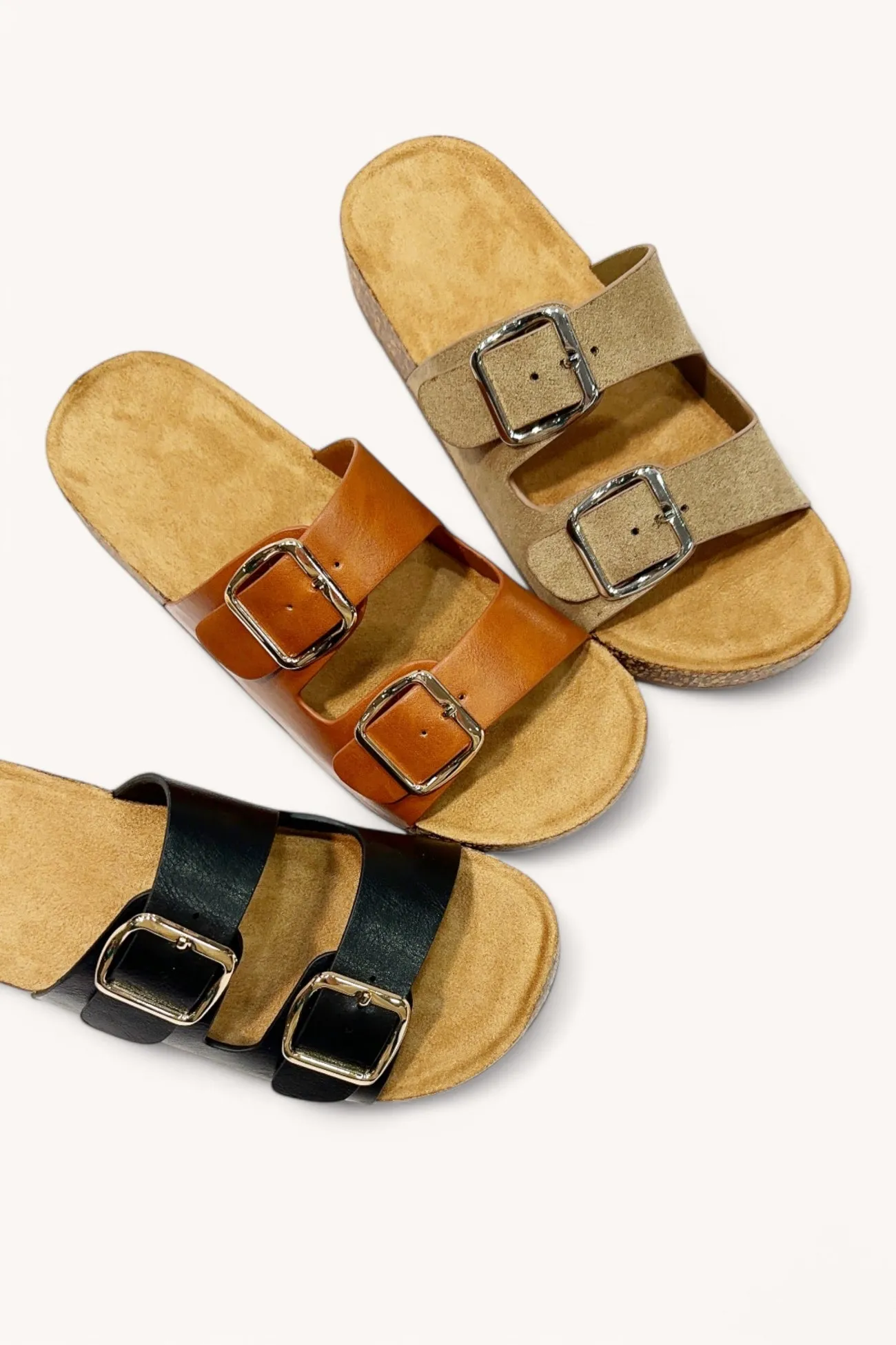 CHAMPION-81 sold by CCOCCI