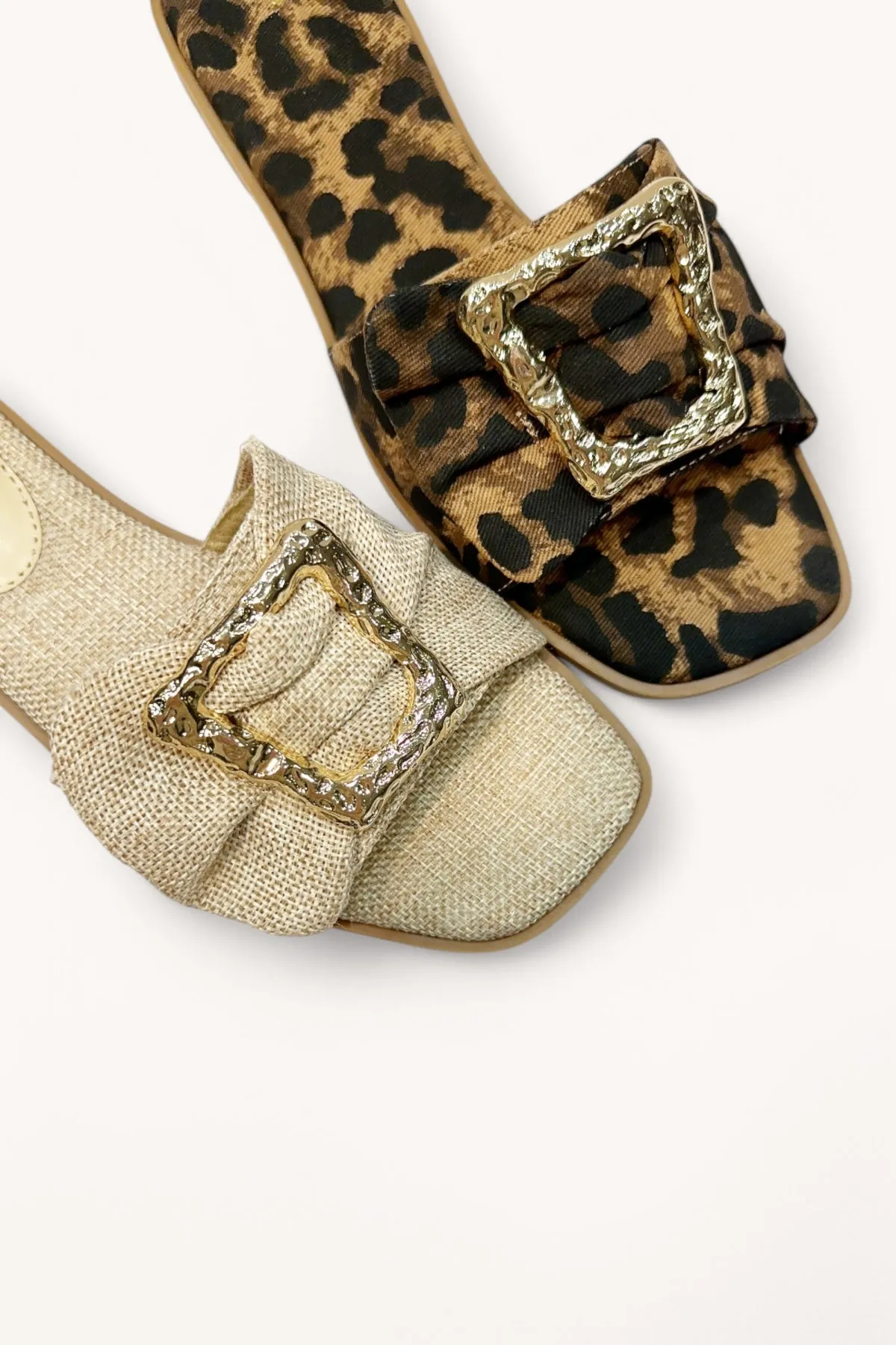 CONCEPT-32 sold by CCOCCI