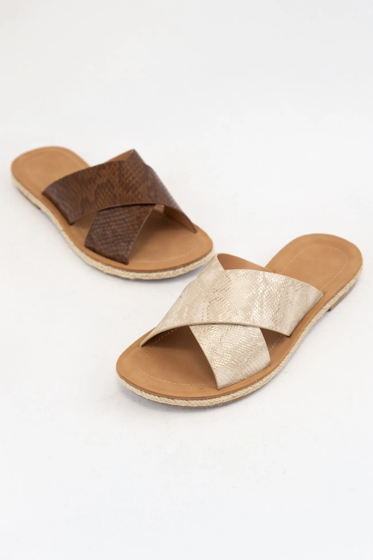 PRISM sold by CCOCCI product image thumbnail 4