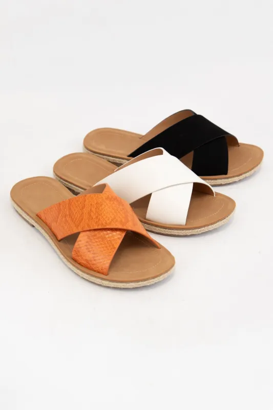 PRISM sold by CCOCCI