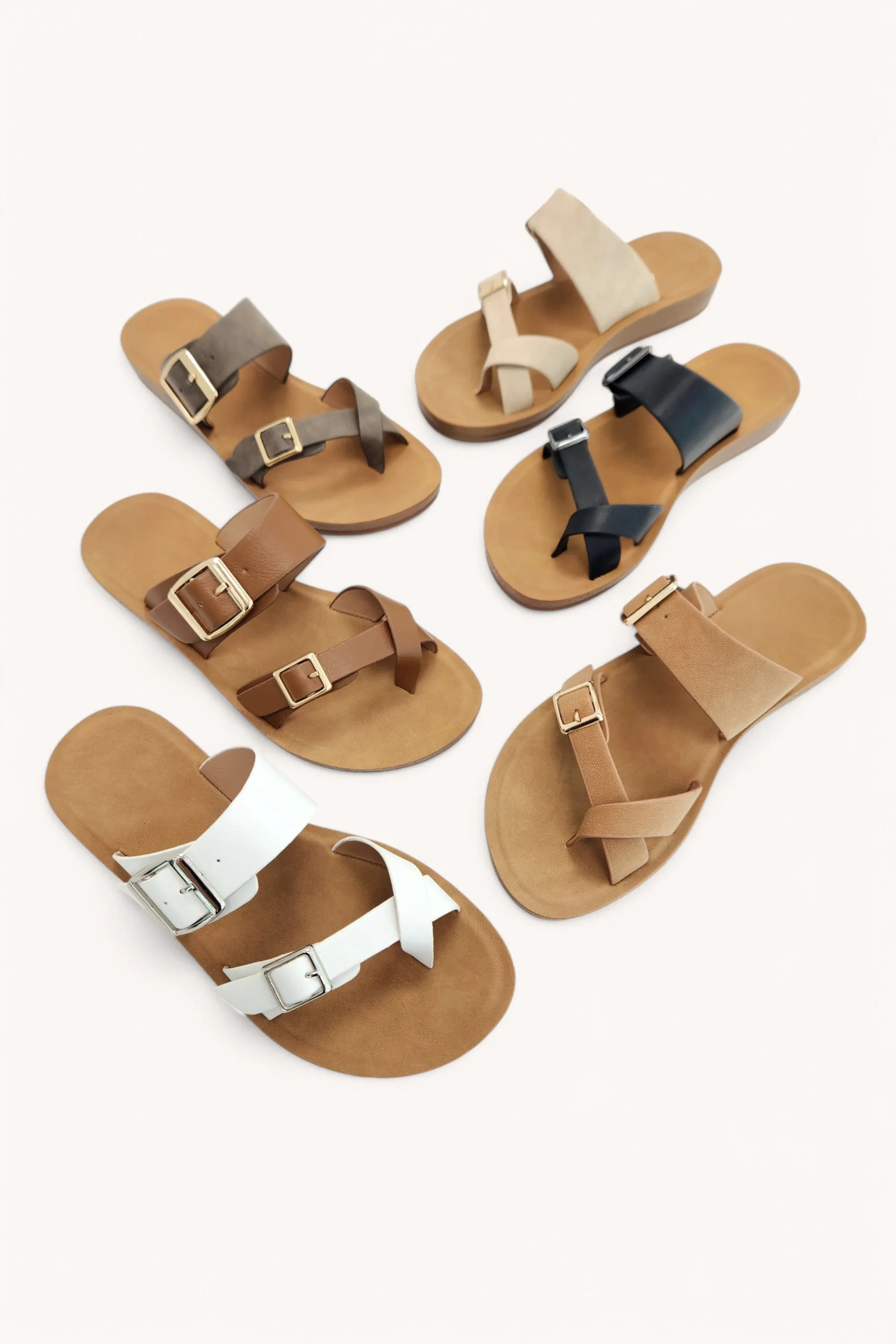 FARON-29 sold by CCOCCI