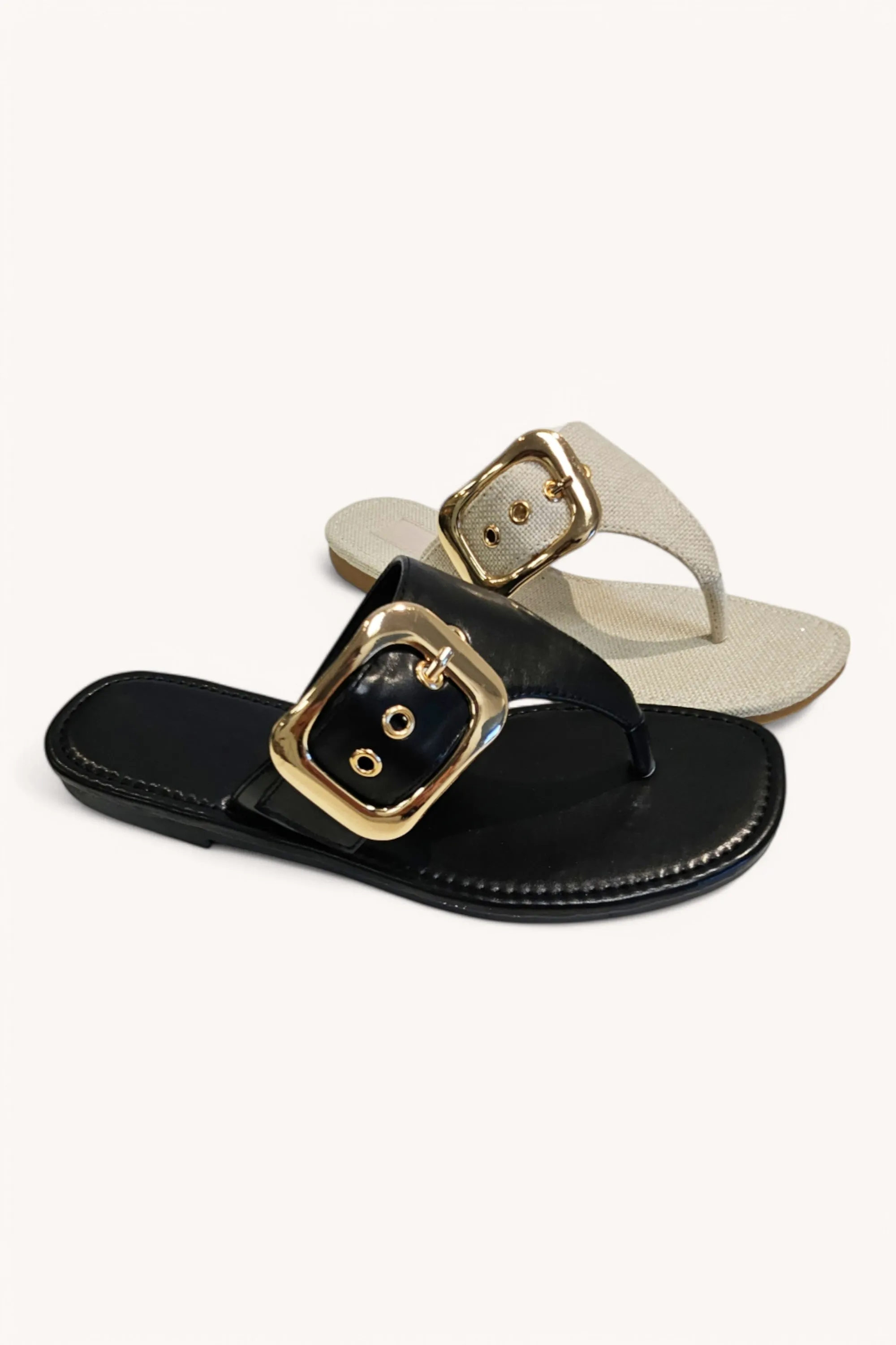 OLIVE-1 sold by CCOCCI product image thumbnail 5