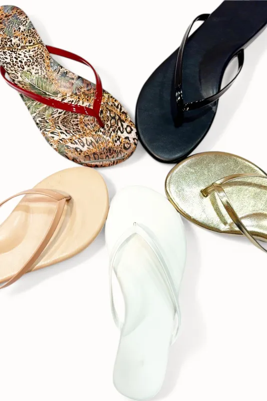 SQUISHY-14 sold by CCOCCI