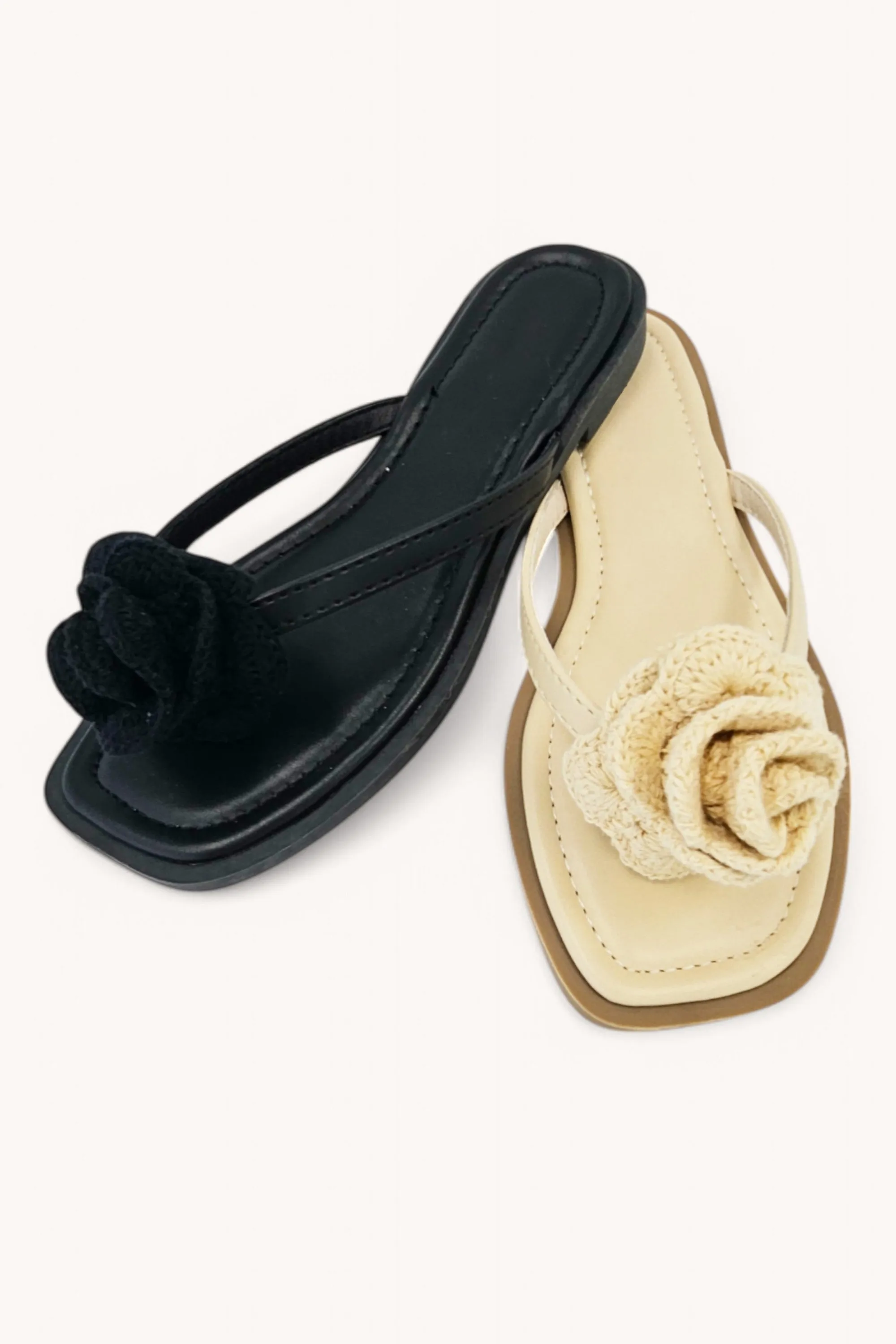 ZITA-22 sold by CCOCCI