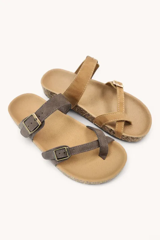 AMARA-26 sold by CCOCCI