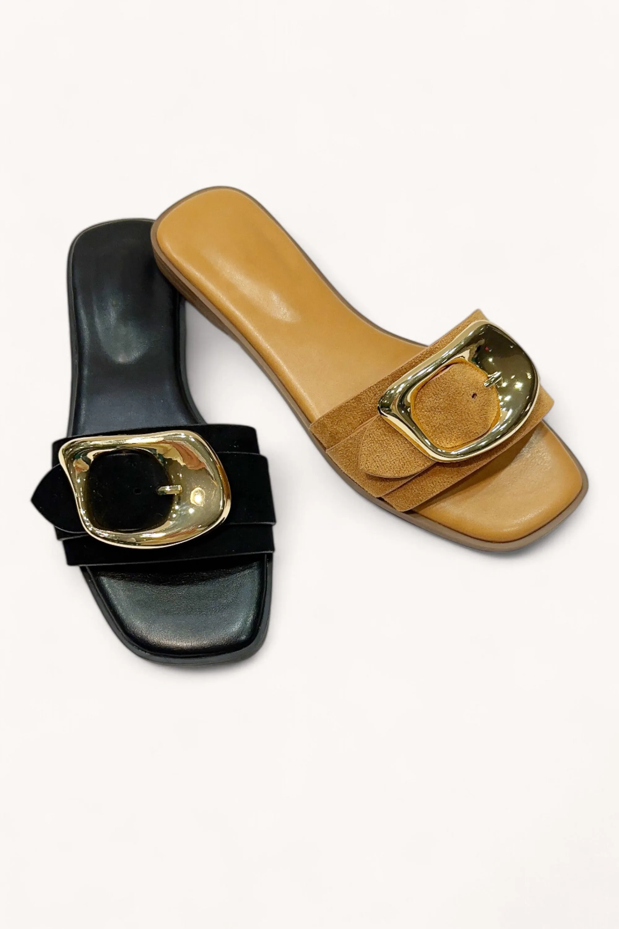 IDEA-87 sold by CCOCCI product image thumbnail 4