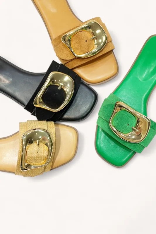 IDEA-87 sold by CCOCCI