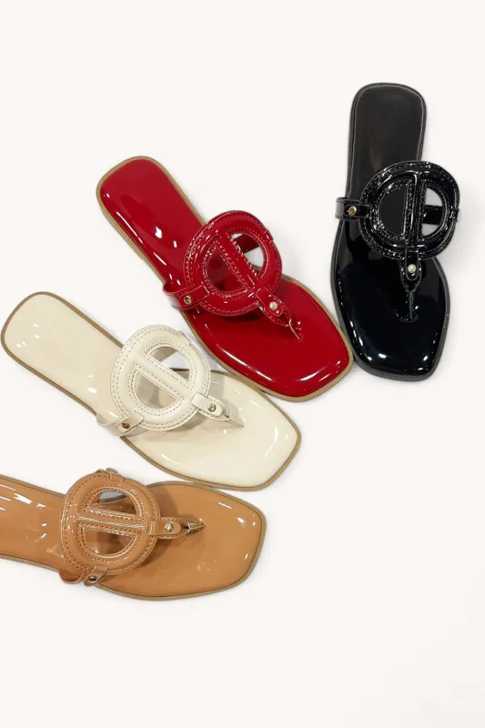 CONCEPT-73 sold by CCOCCI