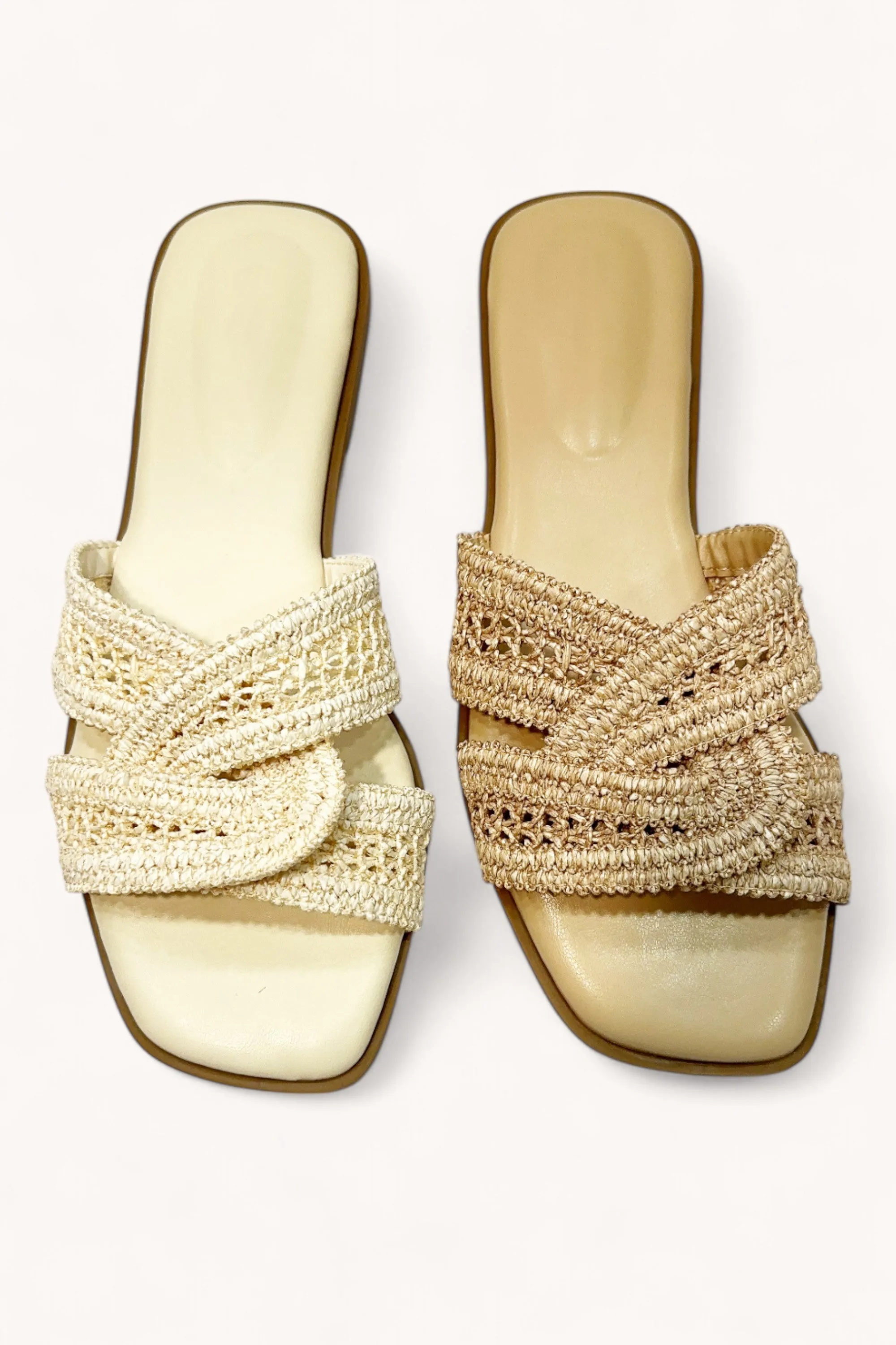 CONCEPT-53 sold by CCOCCI product image thumbnail 3