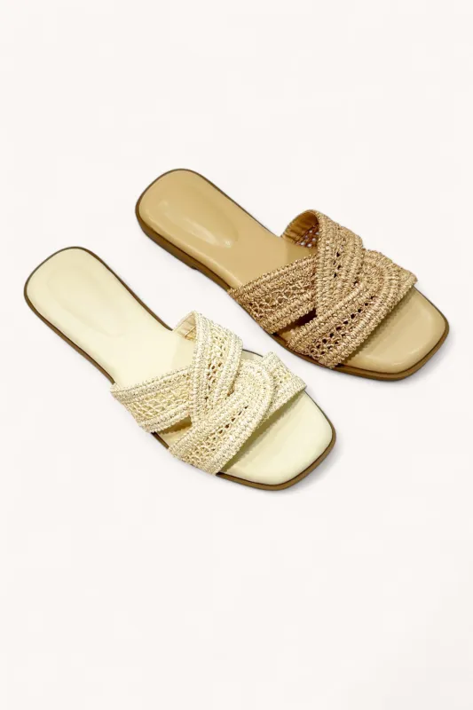 CONCEPT-53 sold by CCOCCI