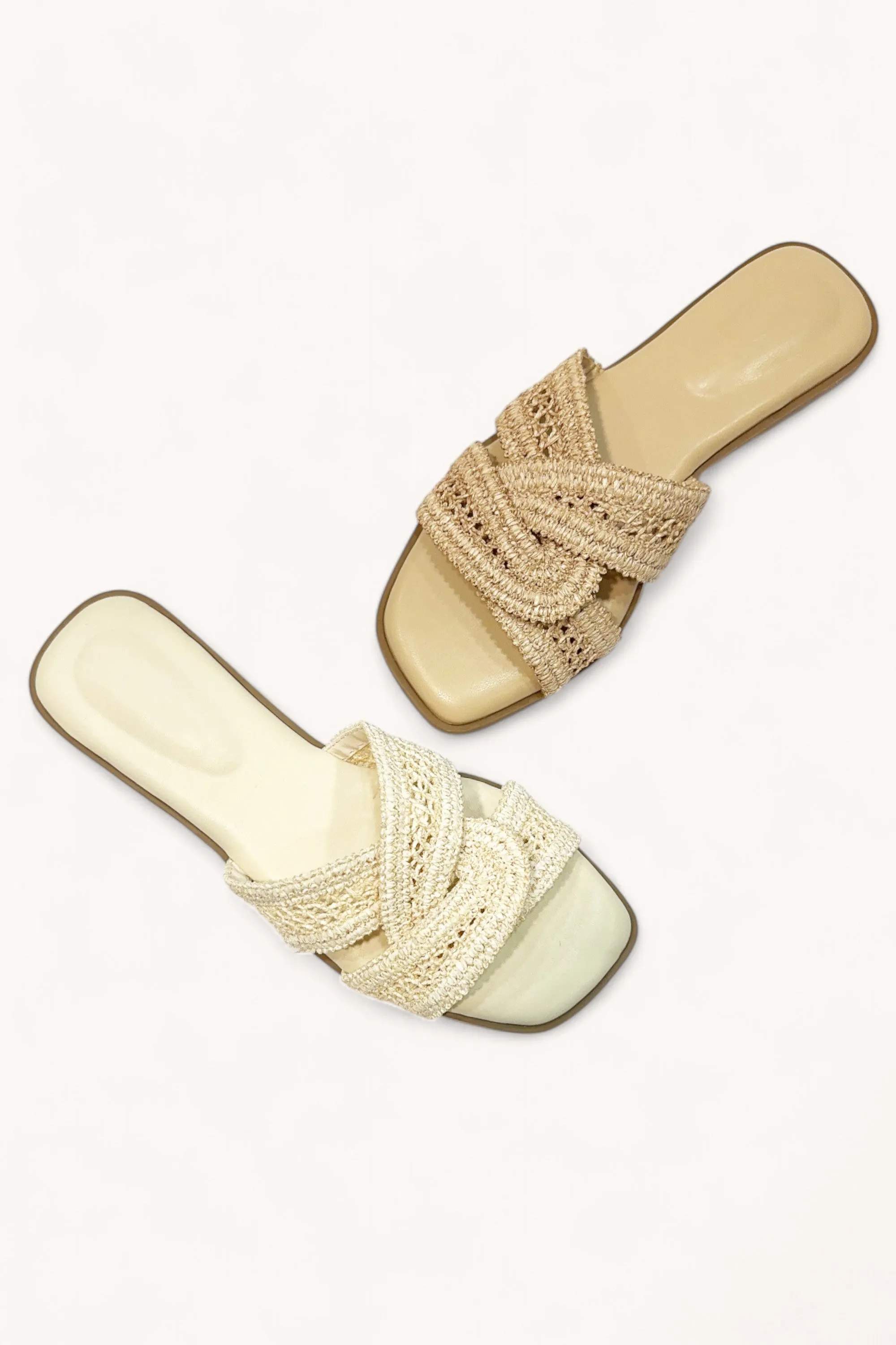 CONCEPT-53 sold by CCOCCI product image thumbnail 2