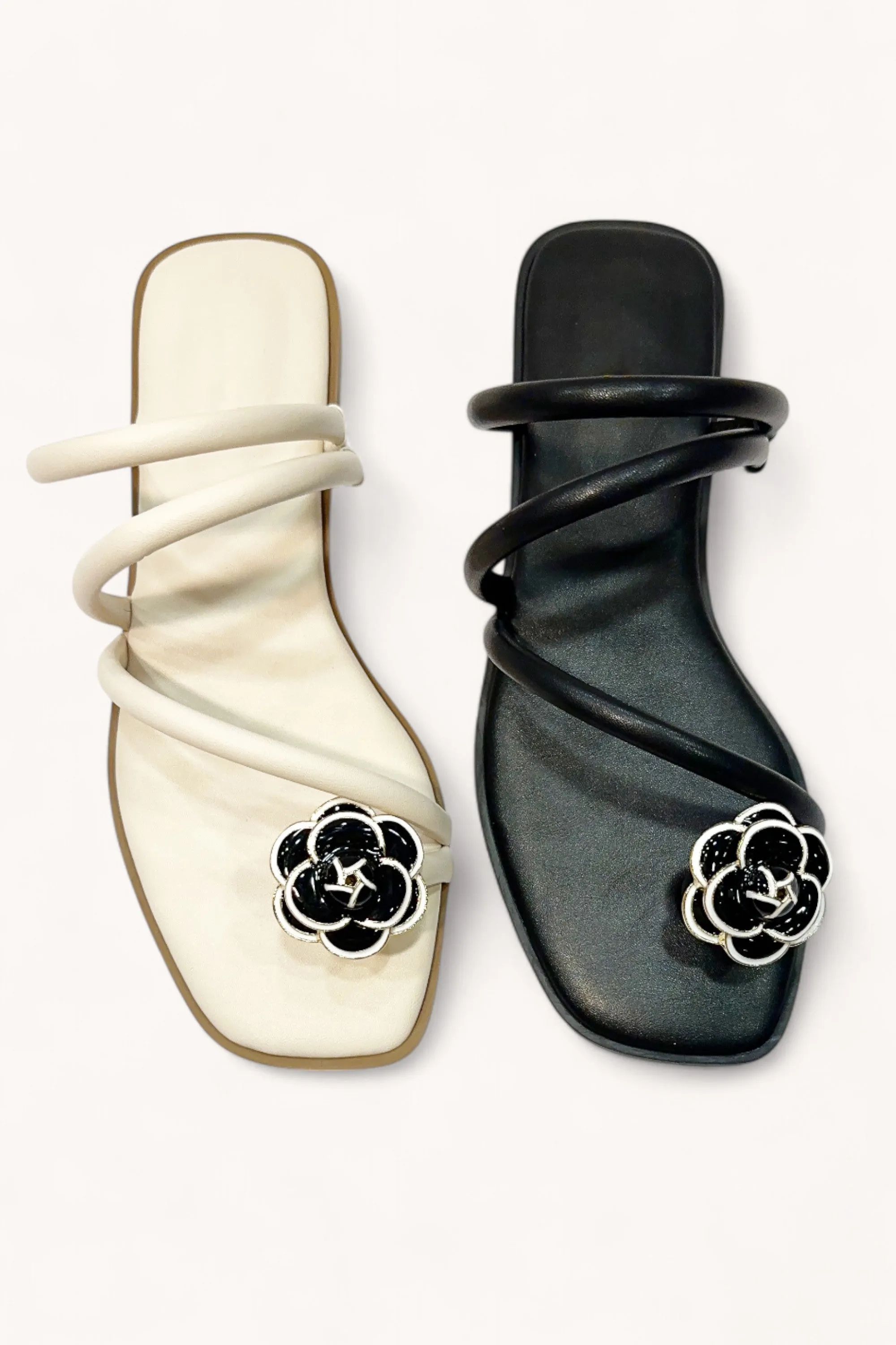 IDEA-92 sold by CCOCCI