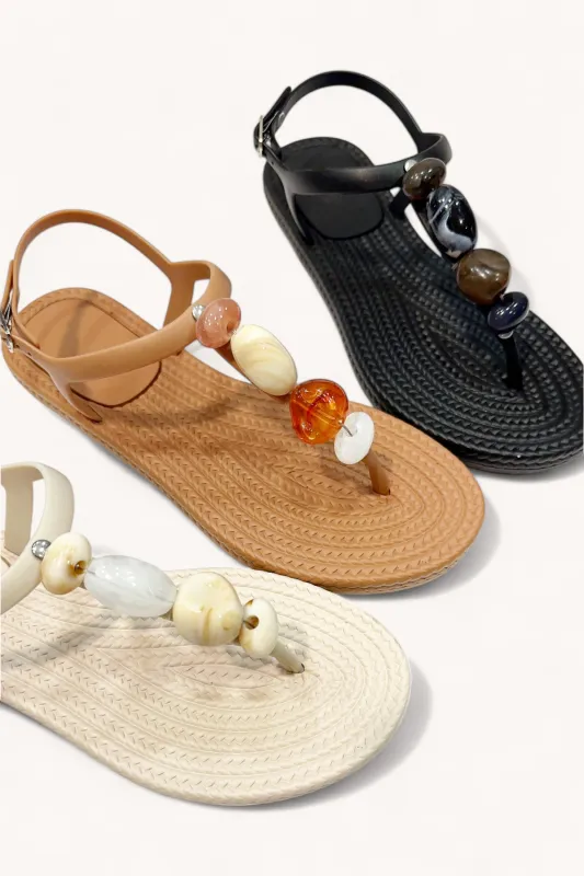 GAIA-01 sold by CCOCCI