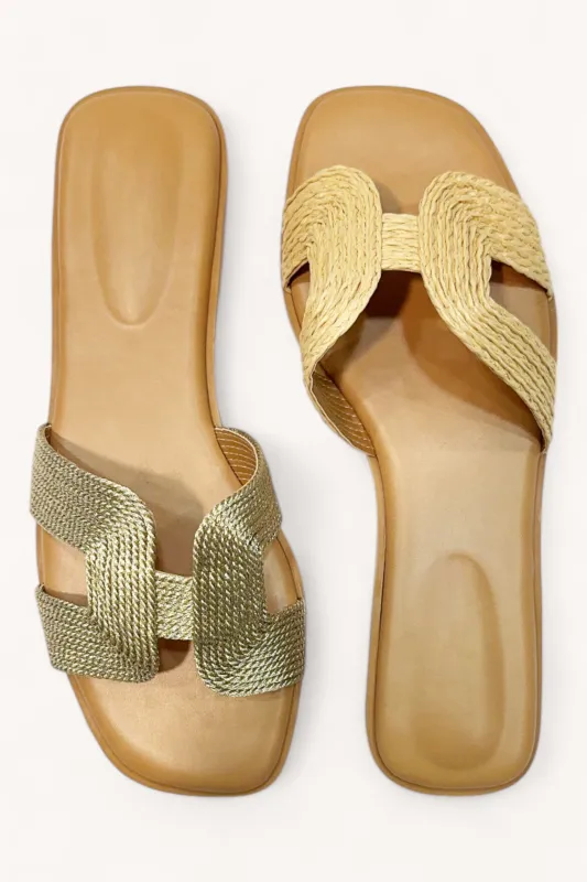 IDEA-91 sold by CCOCCI