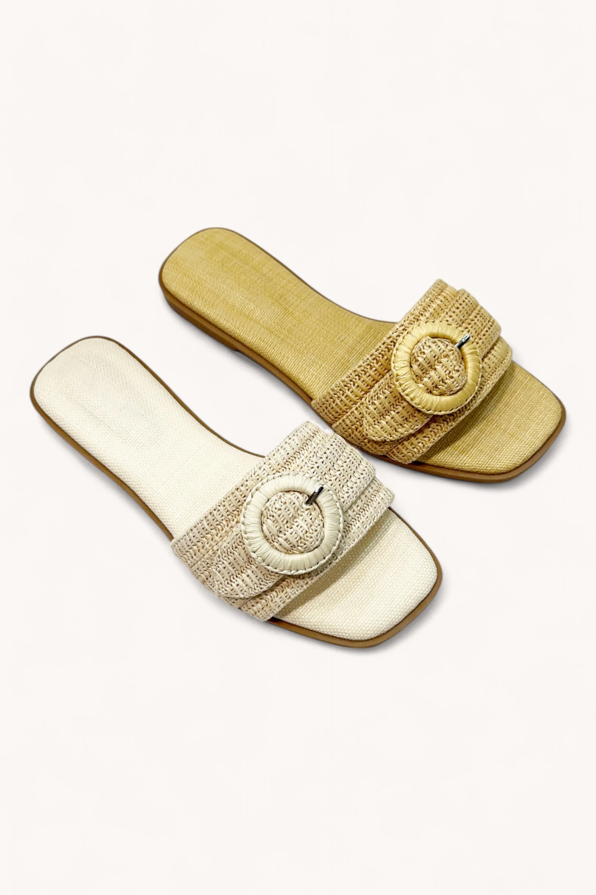 CONCEPT-24 sold by CCOCCI product image thumbnail 2