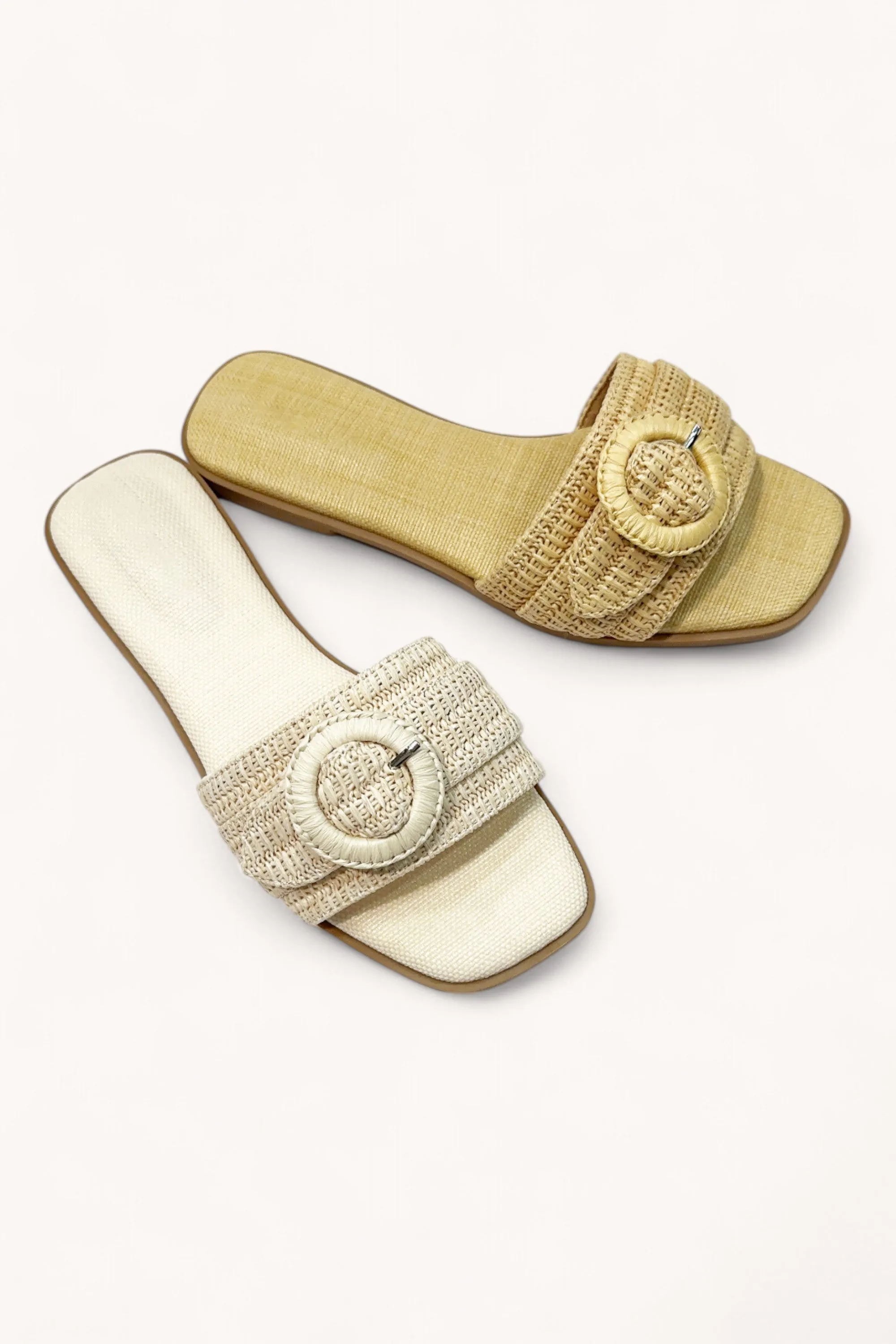 CONCEPT-24 sold by CCOCCI product image thumbnail 3