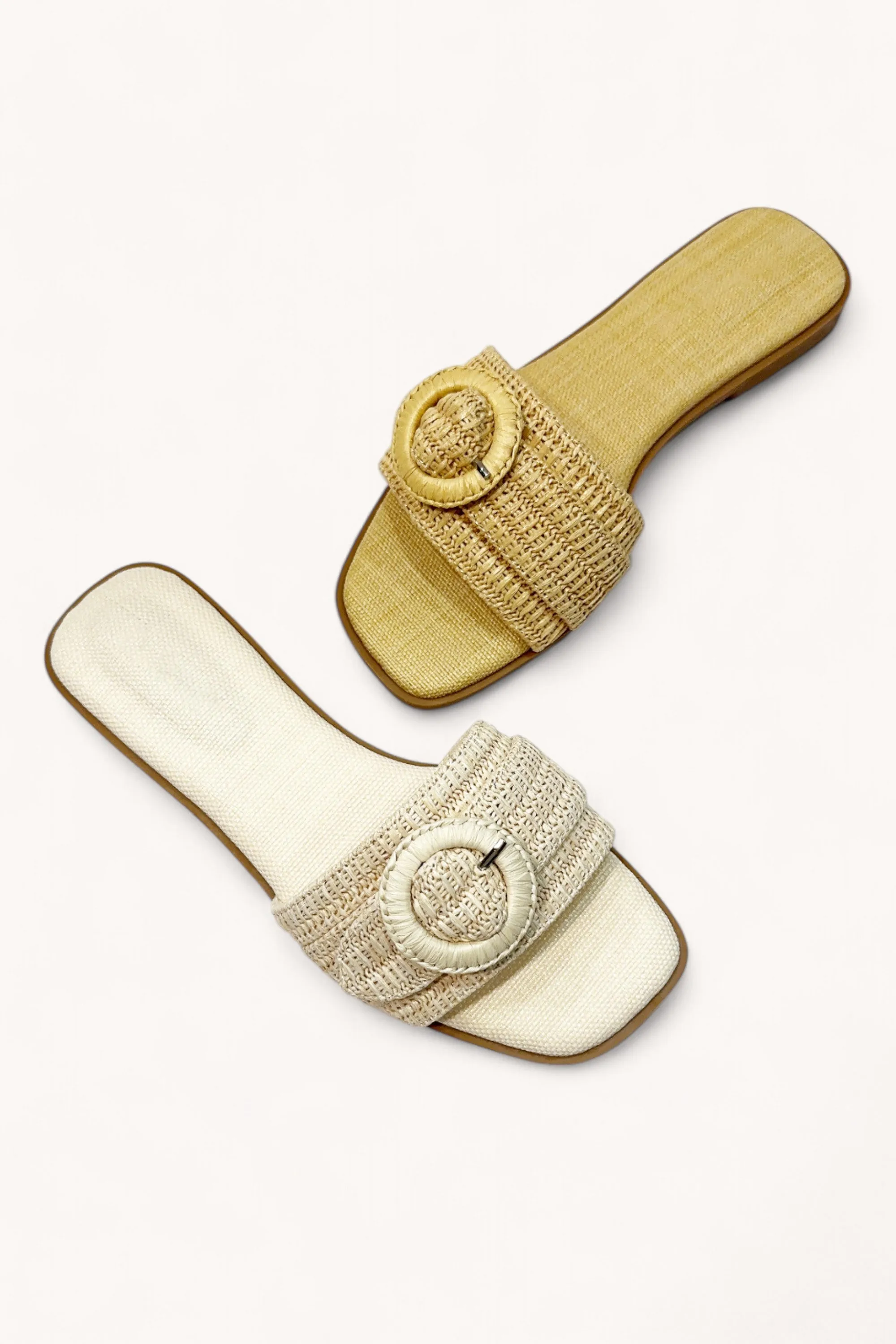 CONCEPT-24 sold by CCOCCI product image thumbnail 4