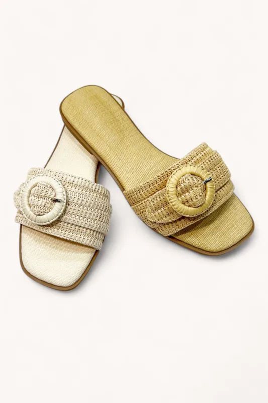 CONCEPT-24 sold by CCOCCI